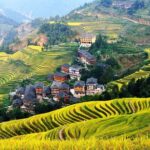 4-Day Private Essence China Tour including Xian, Guilin, Beijing and Shanghai - What Makes This Tour Stand Out?
