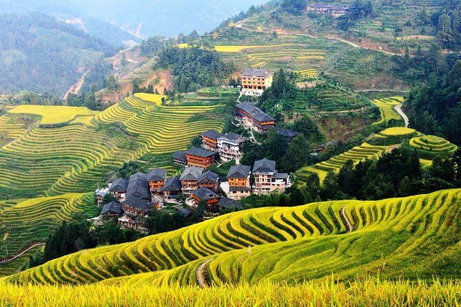 4-Day Private Essence China Tour including Xian, Guilin, Beijing and Shanghai - What Makes This Tour Stand Out?