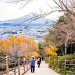 4-Day Private Tour MT Fuji, Kamakura, Hakone, Nikko - Practical Aspects and Value