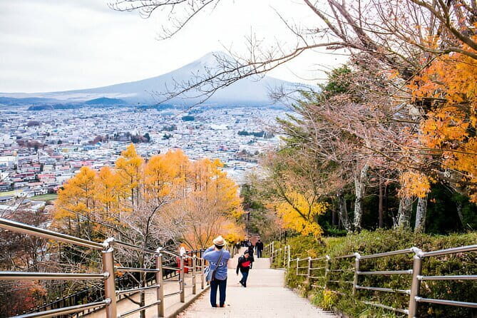 4-Day Private Tour MT Fuji, Kamakura, Hakone, Nikko - Practical Aspects and Value