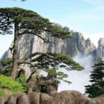 4-Day Private Tour to Mount Huangshan from Shanghai - Who Is This Tour Best For?