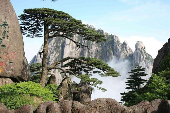 4-Day Private Tour to Mount Huangshan from Shanghai - Who Is This Tour Best For?