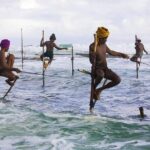 4-Day Sri Lanka Coast Tour - Who Is This Tour Best Suited For?