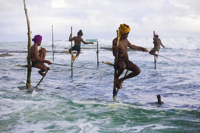 4-Day Sri Lanka Coast Tour - Who Is This Tour Best Suited For?