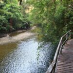 4 Days 3 Nights Mulu 4 Showcaves with Pinnacles - Who Should Consider This Tour?