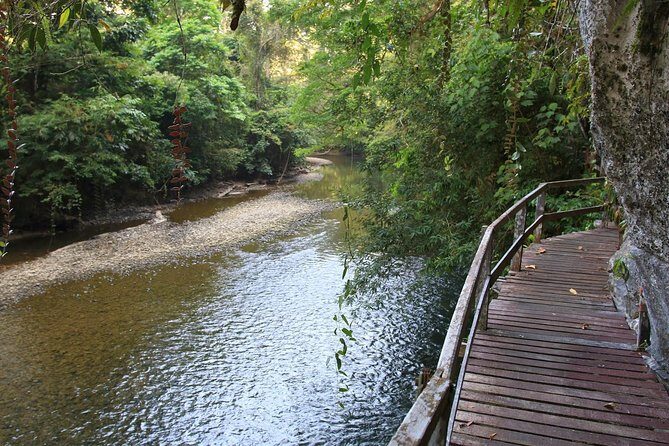 4 Days 3 Nights Mulu 4 Showcaves with Pinnacles - Who Should Consider This Tour?