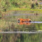 4 Days Bardia National Park Tour - Who is This Tour Best For?