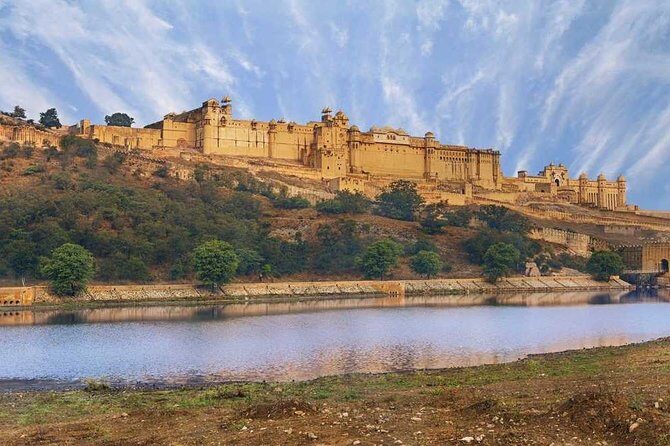 4 Days: Guided Jaipur, Ranthambore, Udaipur Tour With Hotels - Day 2: The Wild Side at Ranthambore National Park