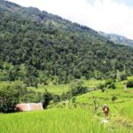 4 days Nepal Yoga and Trekking Retreat for Women - What Travelers Can Expect