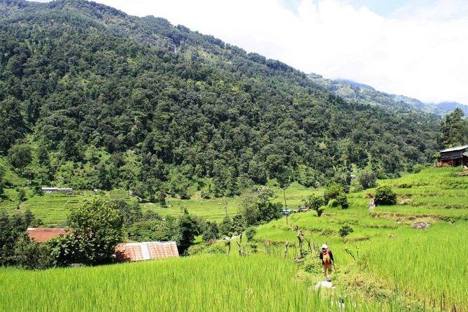 4 days Nepal Yoga and Trekking Retreat for Women - What Travelers Can Expect