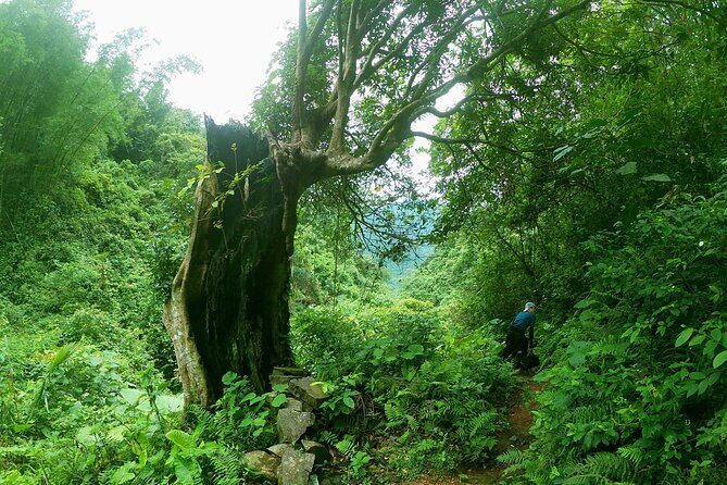 4 Days Private Tour to Cao Bang from Hanoi - Final Thoughts