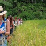 4 days toraja romantic tour / minimal 2 pax - Who Is This Tour Best For?