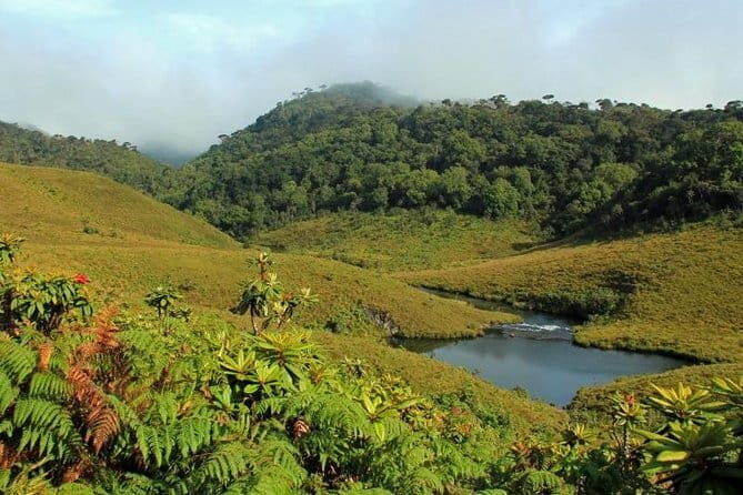 4 Days Tour with Hiking and Scenic Train Ride - Who Would Love This Tour?