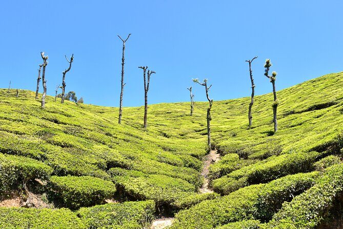 4 days village exploration in Kerala ! - Final Thoughts