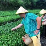 4 Days Zhangjiajie Highlights with Rice Terrace View (Hand-picked Featured Inn) - Who Will Love This Tour?
