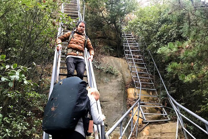 4 Days Zhangjiajie National Forest Park Hiking Tour(5-Star Hotel) - Who Should Consider This Tour?