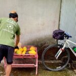 4 Hour Guided Cycling Experience in Yakushima - FAQs