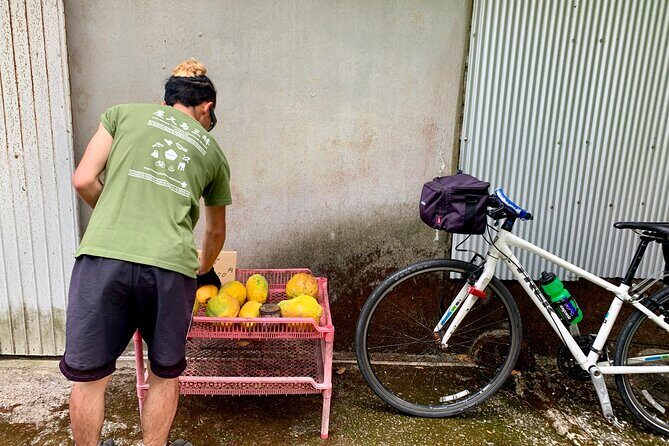 4 Hour Guided Cycling Experience in Yakushima - FAQs
