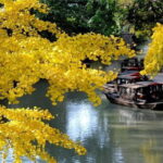 4-Hour Suzhou Private Tour: Humble Administrators Garden,Tiger Hill and Canal - Transportation & Overall Experience