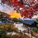 4D3N Busan & Gyeongju by KTX Train with 4 star hotel - Price and Value