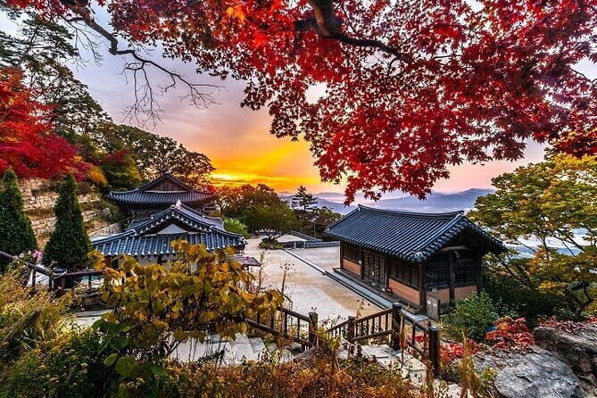 4D3N Busan & Gyeongju by KTX Train with 4 star hotel - Price and Value