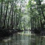 4in1 Underground River + ugong cave +zipline+mangroove paddleboat - FAQ: Your Practical Questions Answered