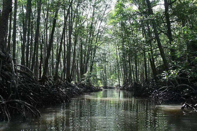 4in1 Underground River + ugong cave +zipline+mangroove paddleboat - FAQ: Your Practical Questions Answered