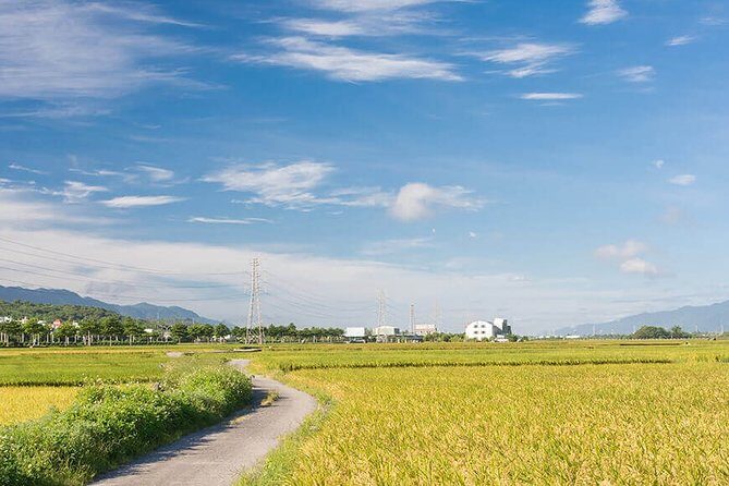 5-day Classic Taiwan Eastern Beauty Private Tour - What the Tour Offers in Terms of Value