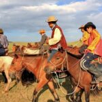 5 Day experience how to ride a horse , Real Mongolian experience - Why This Tour Offers Great Value