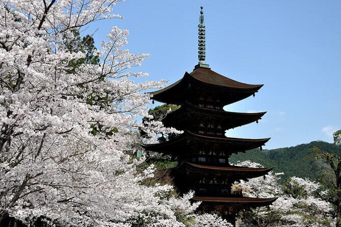 5-Day One Way Bus Trip to North Hyogo from Fukuoka to Hiroshima - The Route and Itinerary: What to Expect Day-by-Day