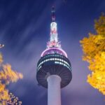 5 Day Private from Busan to Seoul,Gyeongju,Tongyeong, Boseong Green Tea Field - Engaging Review of the 5-Day Private Tour from Busan to Seoul