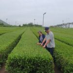 5 day western Korea tour(Jeonju, Yeosu, Suncheon, Gongju & etc) - Why This Tour Offers Great Value