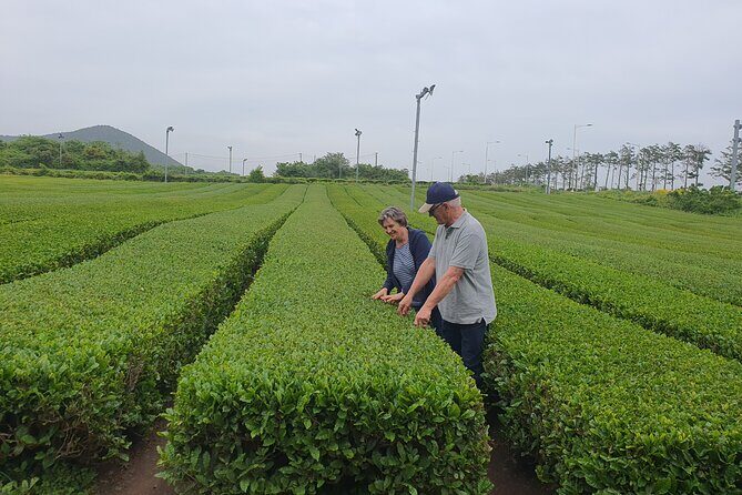 5 day western Korea tour(Jeonju, Yeosu, Suncheon, Gongju & etc) - Why This Tour Offers Great Value
