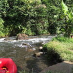 5 Day Wildlife Safari Tour in Sri Lanka - What’s Included & What’s Not