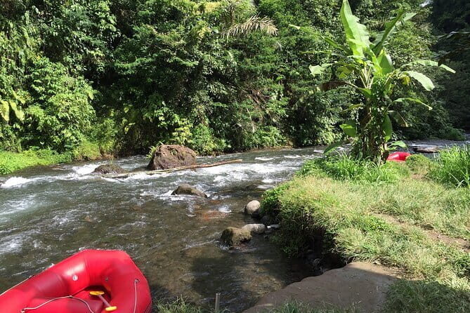 5 Day Wildlife Safari Tour in Sri Lanka - What’s Included & What’s Not