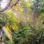 5 Days adventurous Chitwan and pleasing Pokhara Tour from Kathmandu - What We Love About This Tour