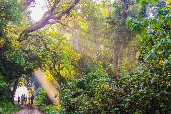 5 Days adventurous Chitwan and pleasing Pokhara Tour from Kathmandu - What We Love About This Tour