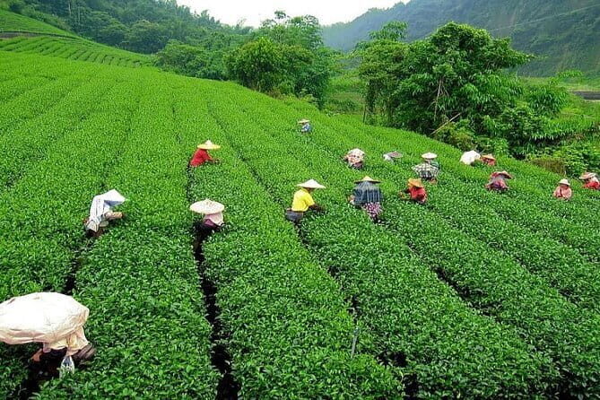 5 Days Darjeeling Sikkim Tour - The Itinerary in Detail