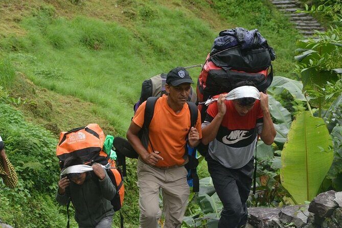 5 Days Ghorepani Poonhill Trek - The Value & Practicalities