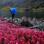 5 Days Pancha Pokhari Trekking from Kathmandu - The Reviews and Authentic Insights