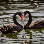 5-Hour Self-Guided Layover Tour to Luo Hong Art Museum with Peking Duck Option - Practical Details & Tips