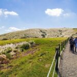 5-Hour Vegetarian Private Tour - Visit Yangmingshan and Taste Veggie Cuisine - Who Should Consider This Tour?