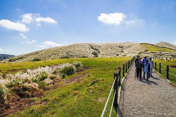 5-Hour Vegetarian Private Tour - Visit Yangmingshan and Taste Veggie Cuisine - Who Should Consider This Tour?