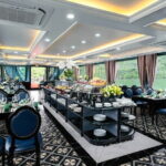 5 Star Pamela Cruise Luxury Day Tour in Halong Bay - What’s Included and What’s Not