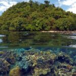 5D4N Puerto Princesa & Port Barton Tour Package - How Do We Rate the Value?
