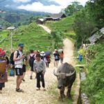 5days 4nights Lan Ha Bay-Sapa-Ninh Binh=>Free Airport Transfer &Street food tour - Who Is This Tour Best For?