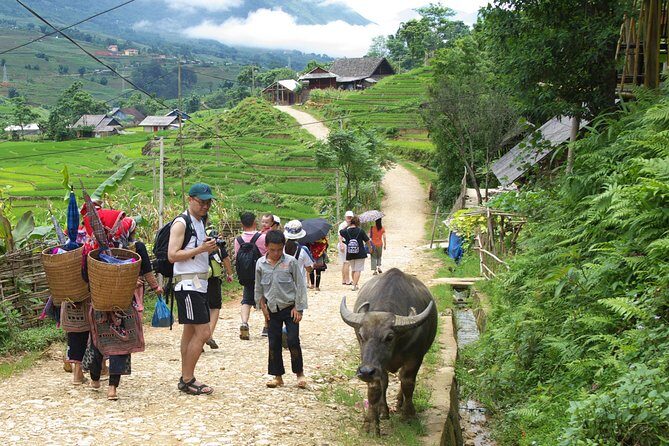 5days 4nights Lan Ha Bay-Sapa-Ninh Binh=>Free Airport Transfer &Street food tour - Who Is This Tour Best For?
