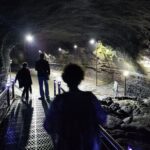 5Hour Private Taxi driver Tour in Jeju - Practical Aspects and Value