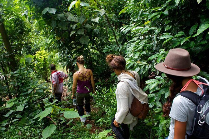 6-Day Authentic Experiences in Sri Lanka - Who Is This Tour Best For?