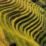 6-Day Guilin tour to Yangshuo,Longji and Guilin - The Sum Up